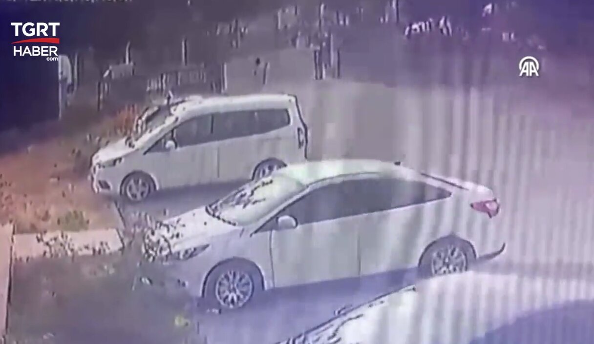 ببینید | وحشت یک کودک از تعقیب سگها؛ پدر از فاجعه احتمالی جلوگیری کرد ببینید | وحشت یک کودک از تعقیب سگها؛ پدر از فاجعه احتمالی جلوگیری کرد